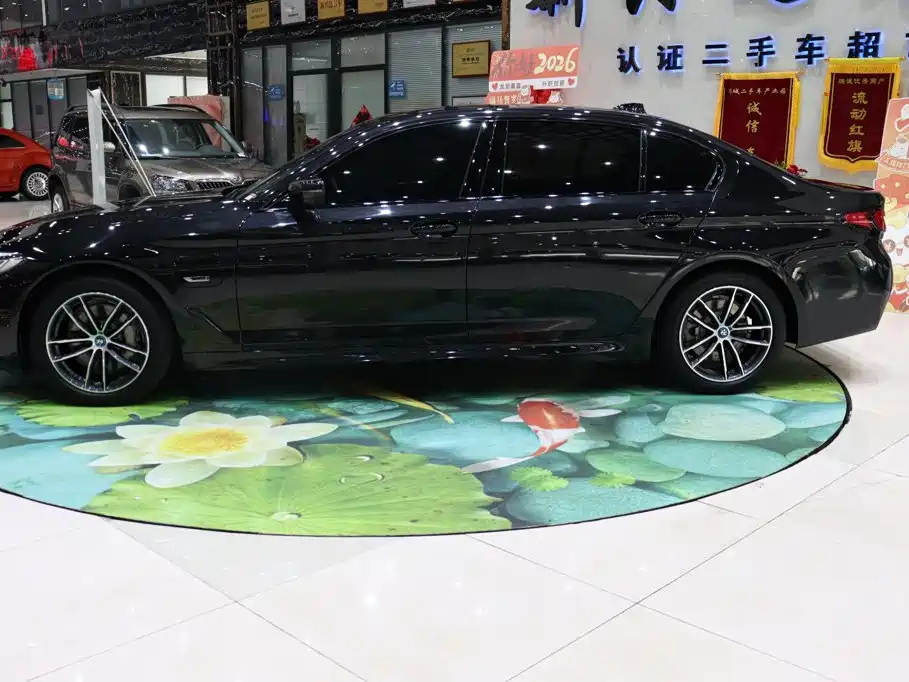 BMW 5 Series New Energy 2022
