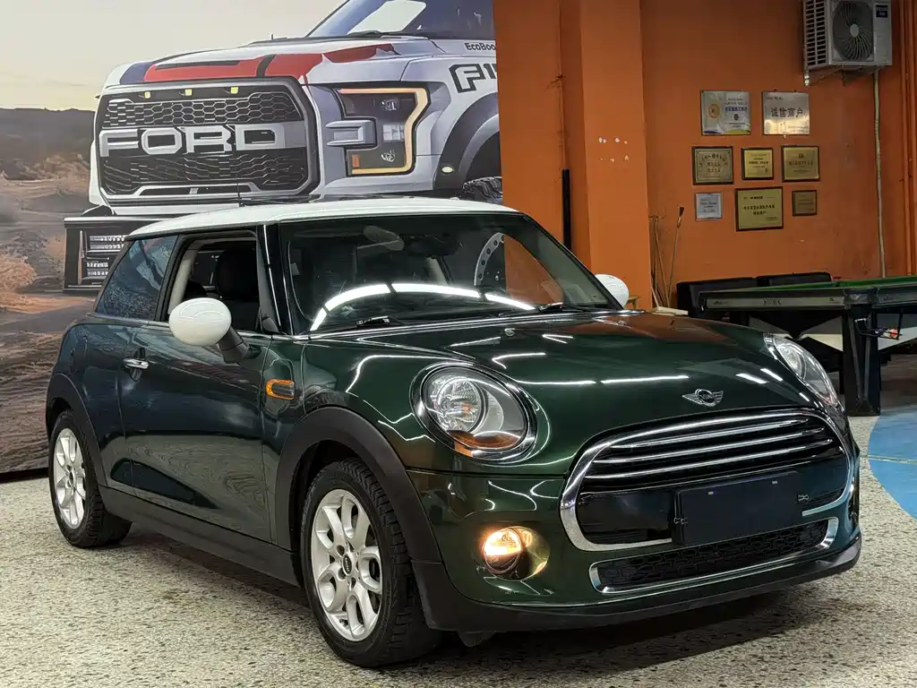 MINI MINI 2015