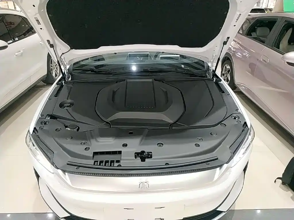 BYD Qin PLUS 2024 — фото 20