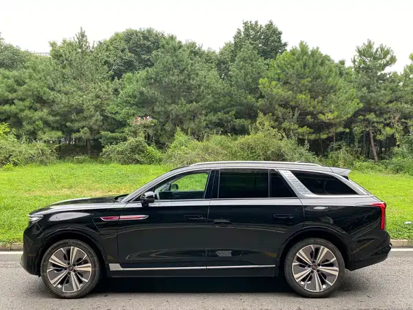 Hongqi E-HS9 2023