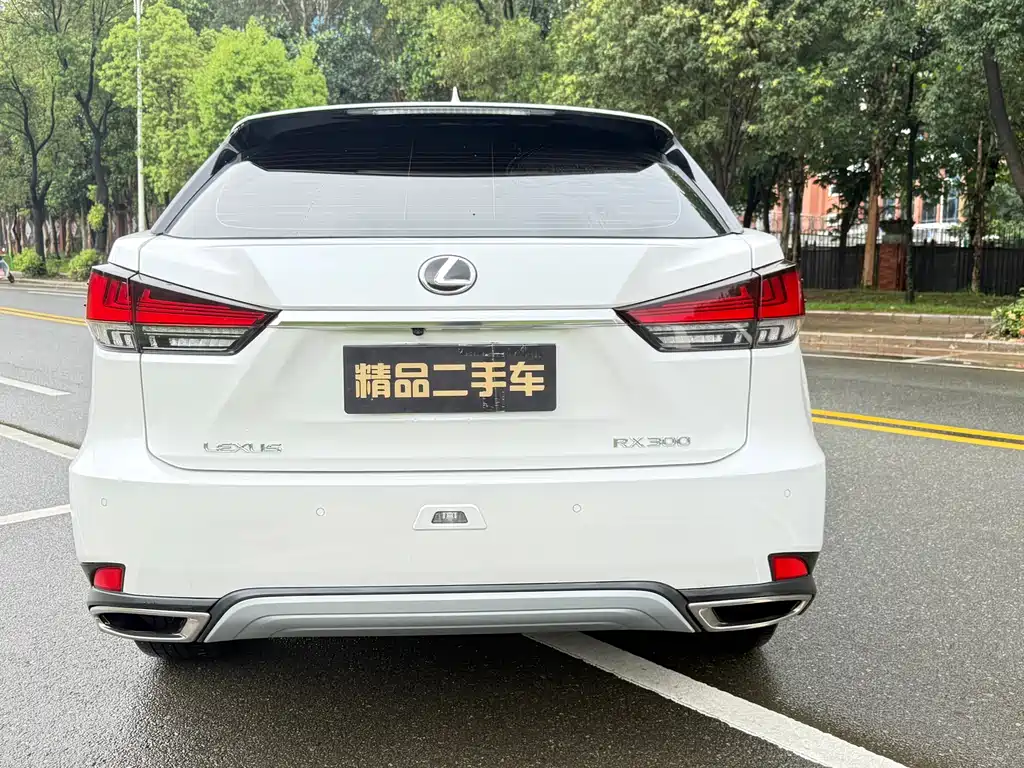Lexus RX 2021 — фото 4