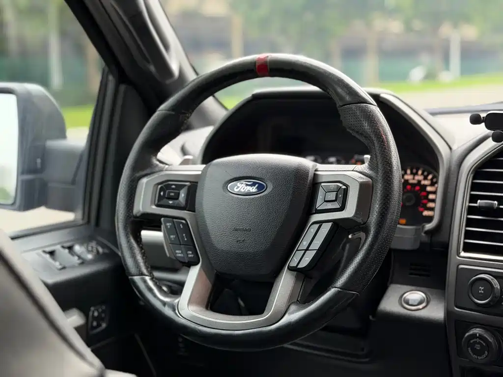 Ford F-150 Raptor 2018 — фото 10