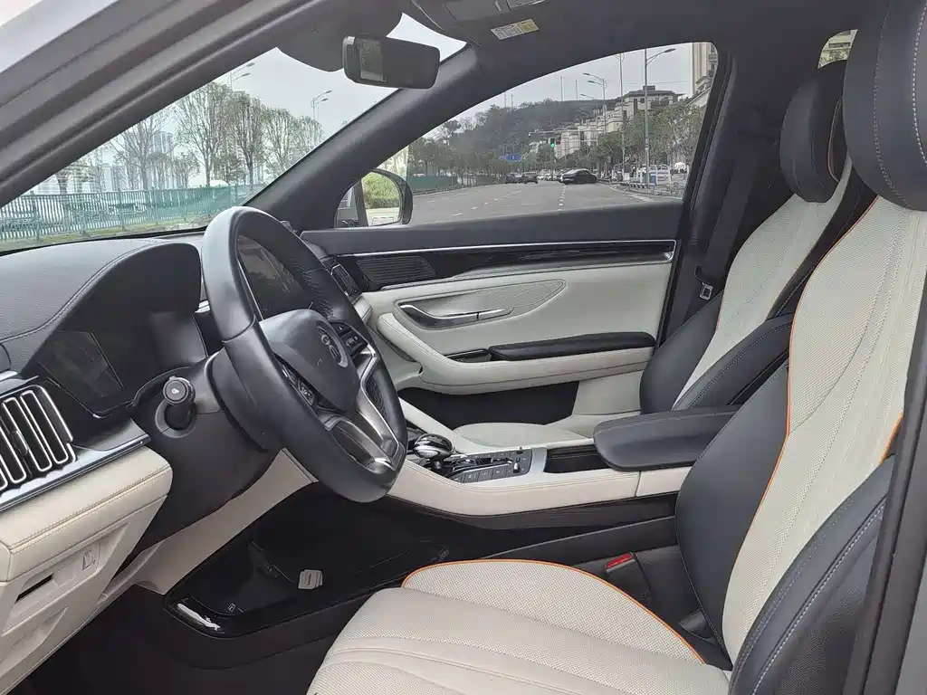 BYD Song PLUS New Energy 2022 — фото 8