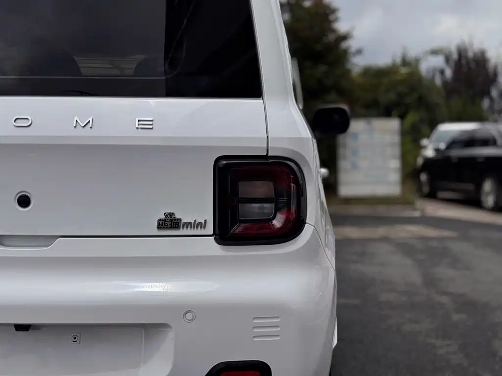 Geely Galaxy Panda 2023 — фото 21
