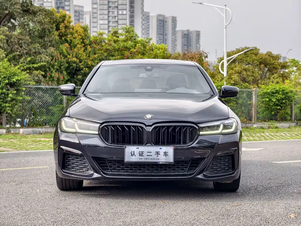 BMW 5 Series 2020 — фото 2
