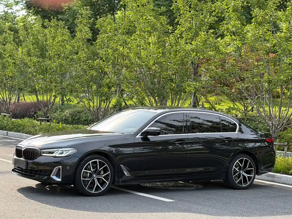 BMW 5 Series 2021