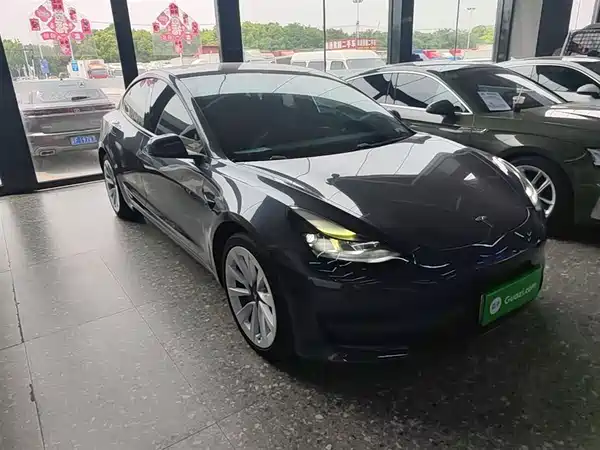 Tesla Model 3 2021