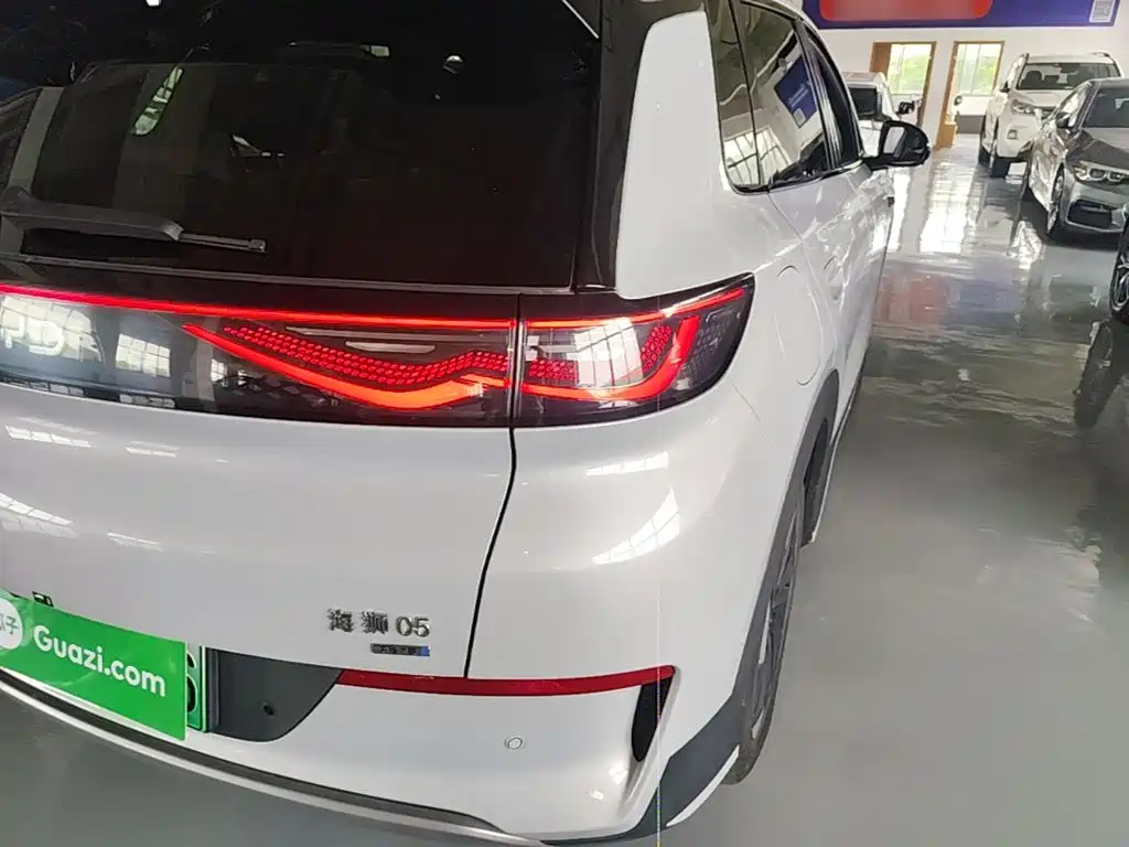 BYD Sealion 05 EV 2025 — фото 8