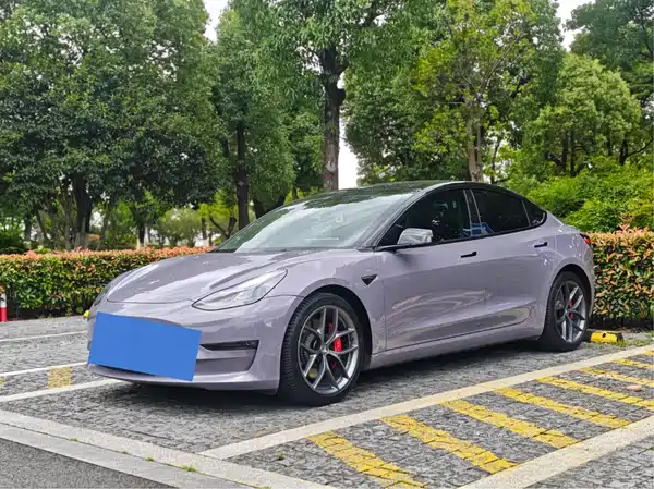Tesla Model 3 2021