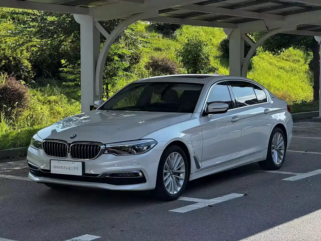 BMW 5 Series New Energy 2019