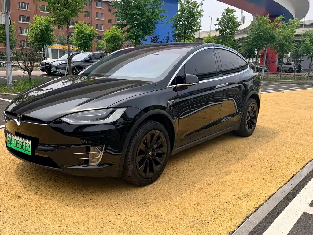 Tesla Model X 2019