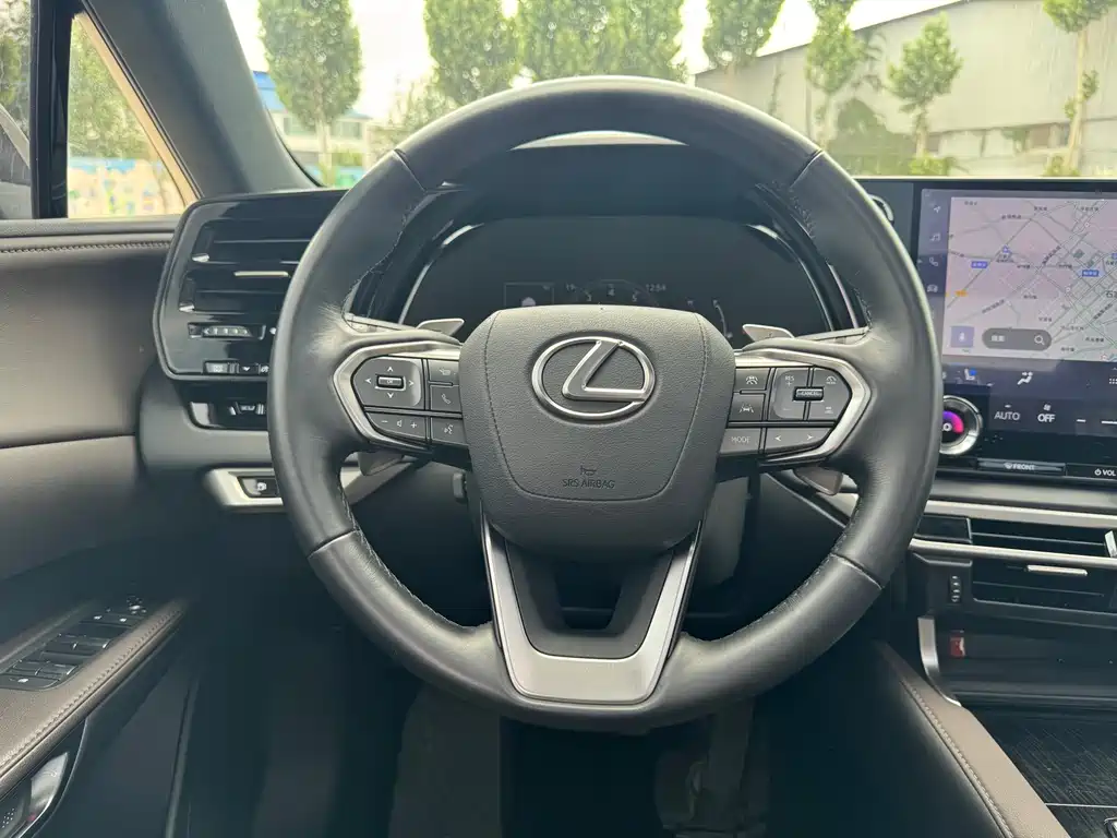 Lexus RX 2024 — фото 13