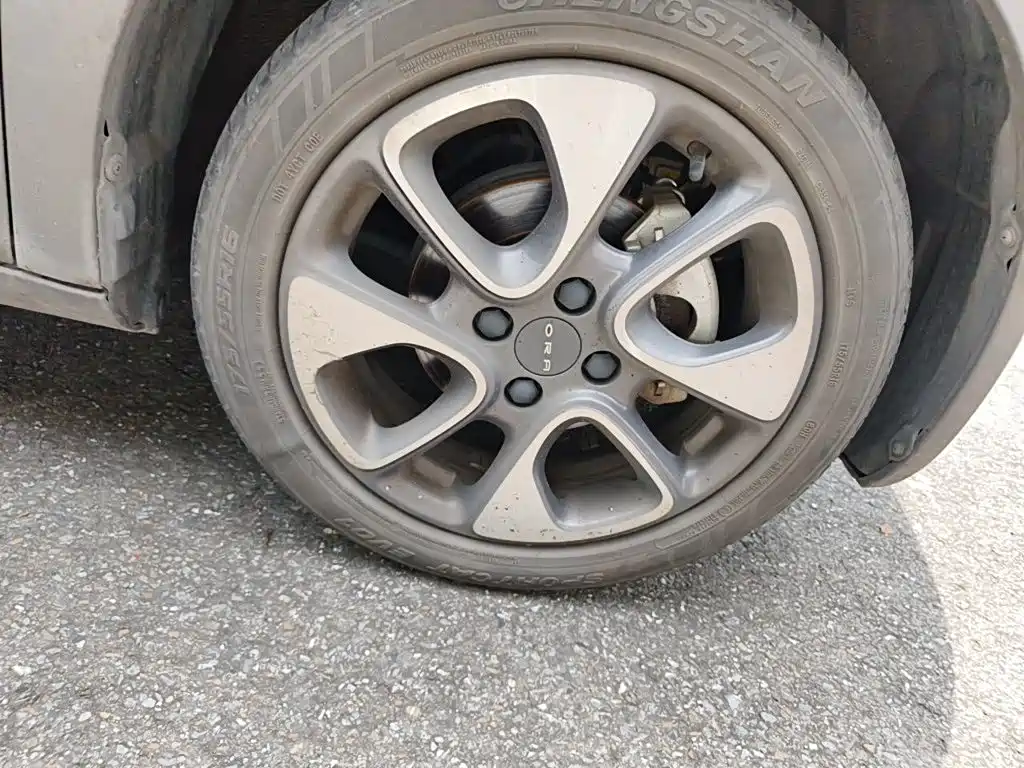 Ora White Cat 2021 — фото 23