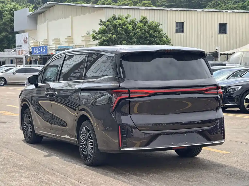 Dongfeng Forthing Xinghai V9 2024 — фото 8