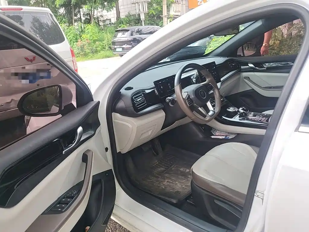 BYD Qin PLUS 2024 — фото 13