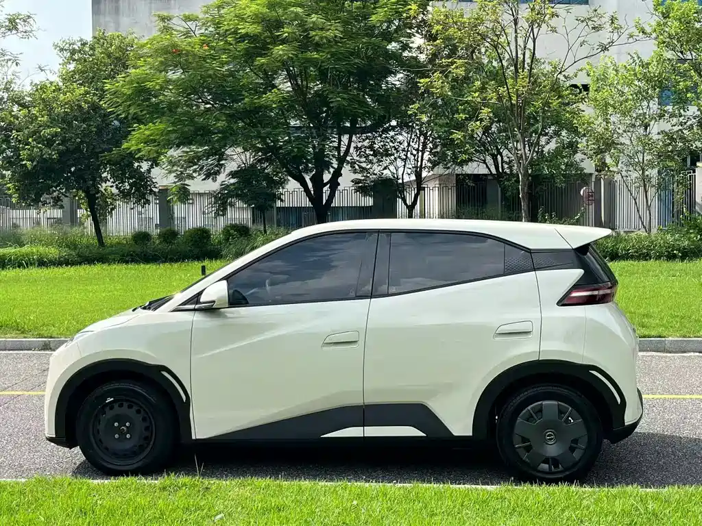 BYD Seagull 2024