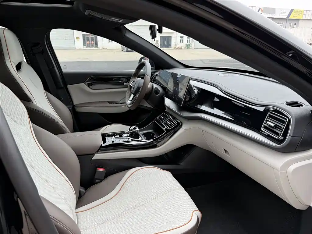 BYD Qin PLUS 2024 — фото 17