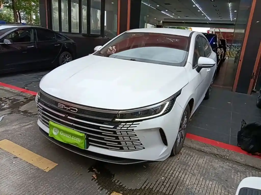 BYD Destroyer 05 2024 — фото 1