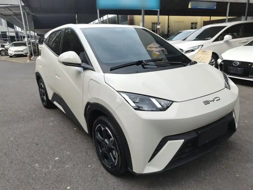 BYD Seagull 2023 — фото 22