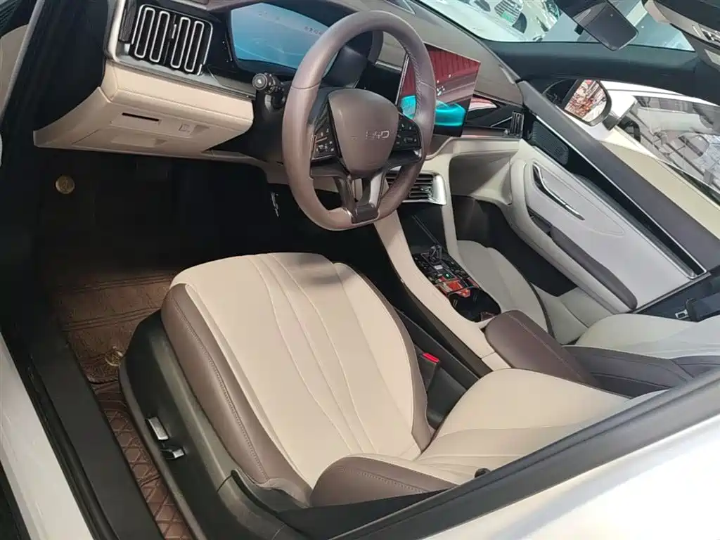 BYD PLUS New Energy 2024 — фото 15