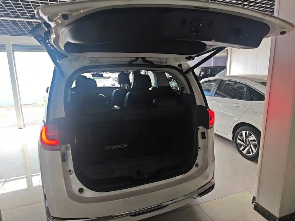 GAC Trumpchi M8 2021 — фото 15