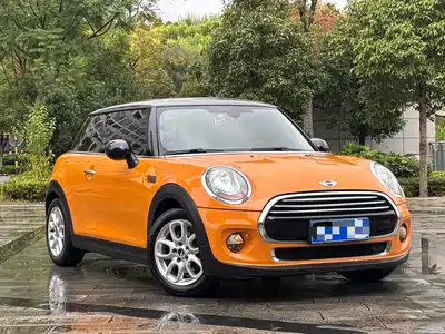 MINI MINI 2015