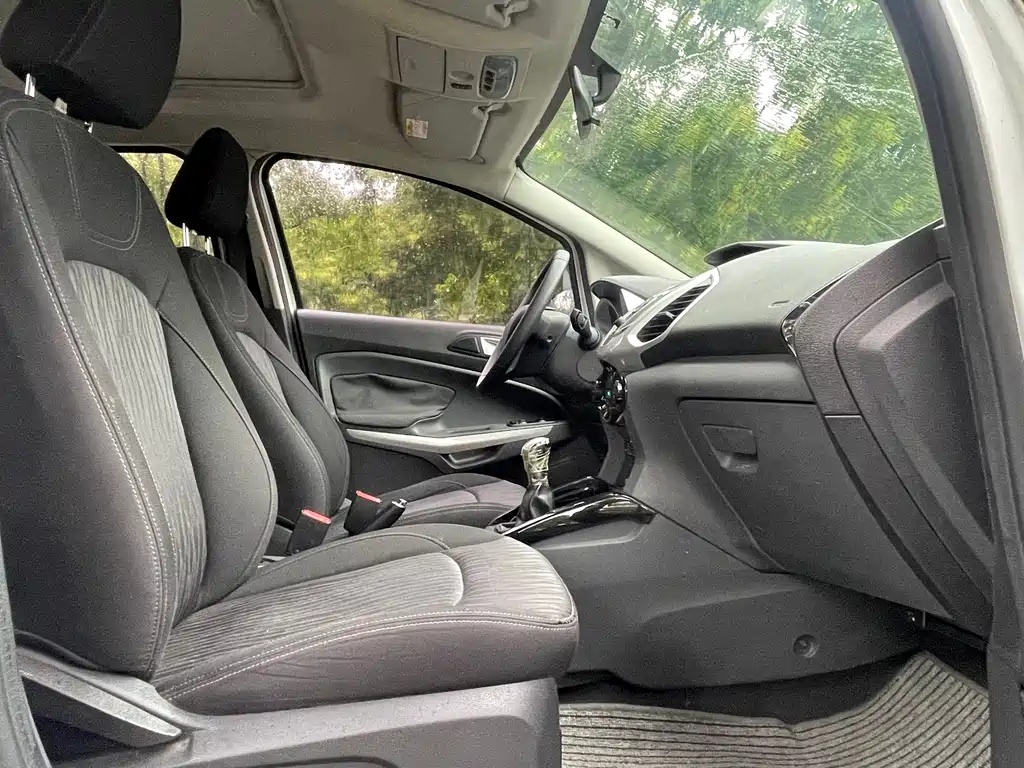 Ford Ecosport 2015 — фото 15