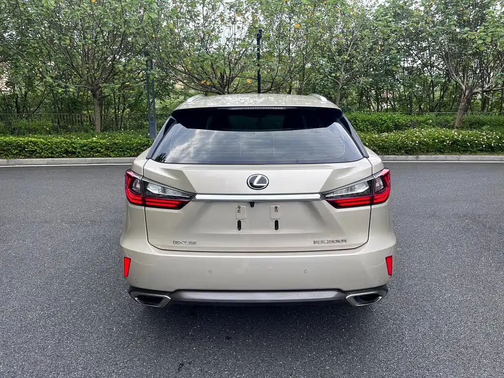 Lexus RX 2017 — фото 5