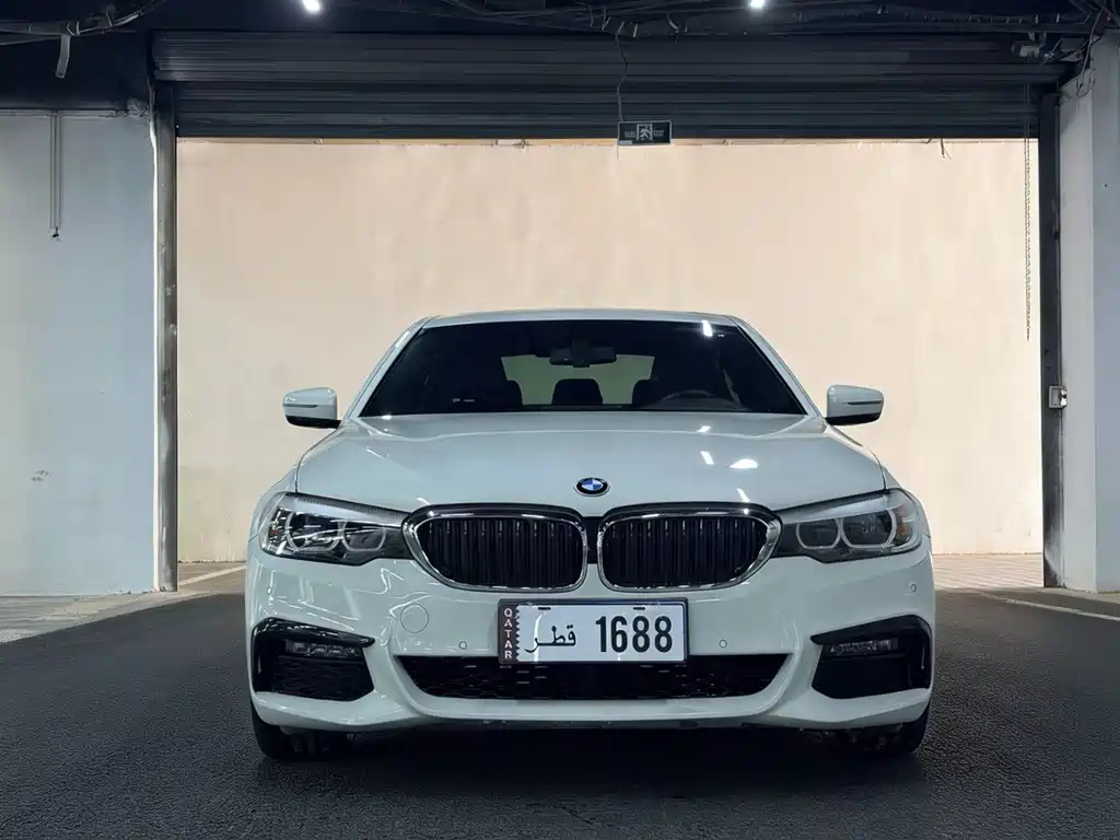 BMW 5 Series 2019 — фото 2