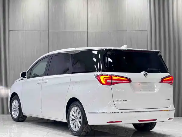Buick GL8 2019