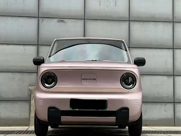 Geely Galaxy Panda 2024