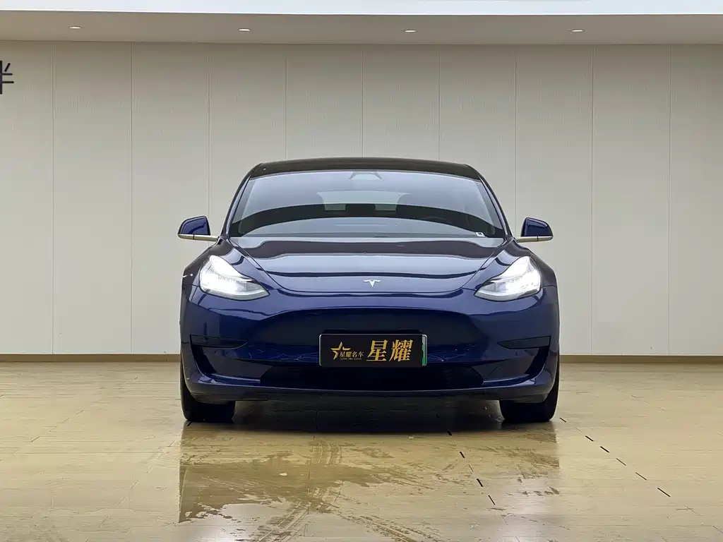 Tesla Model 3 2020 — фото 2