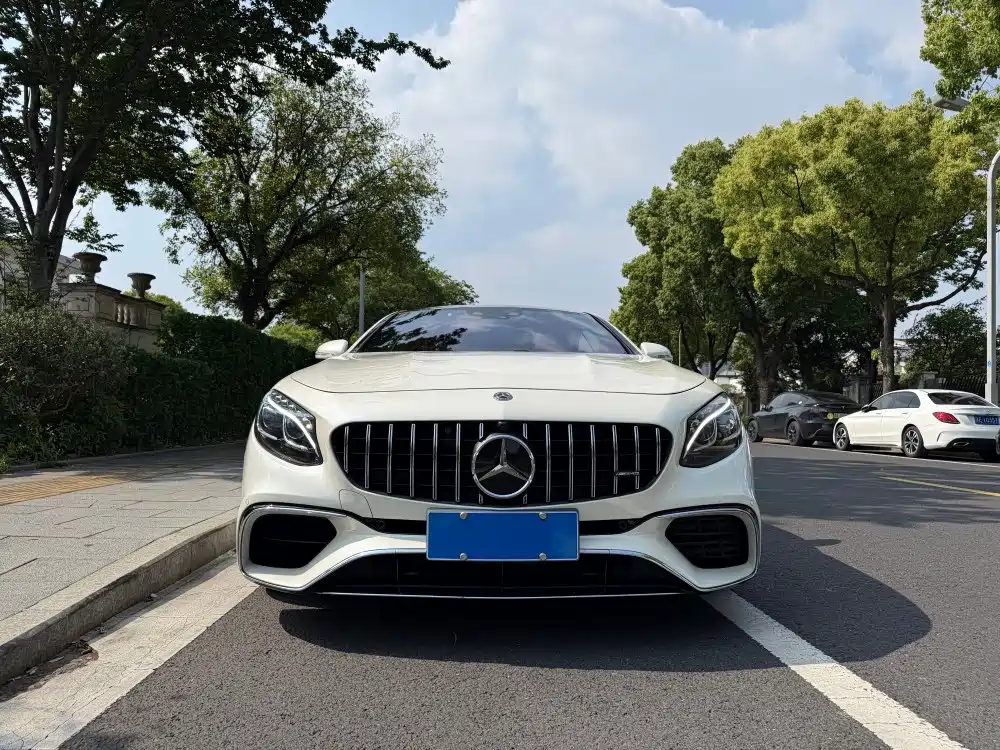 Mercedes-Benz S-Class AMG 2020 — фото 16
