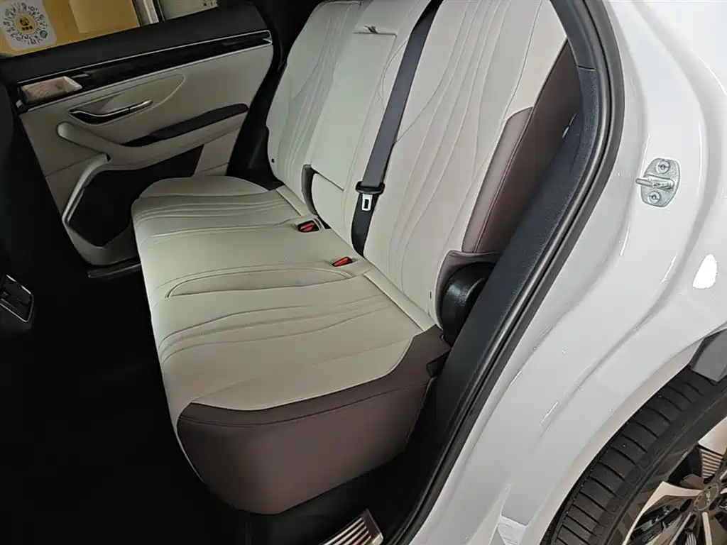 BYD PLUS New Energy 2025 — фото 17