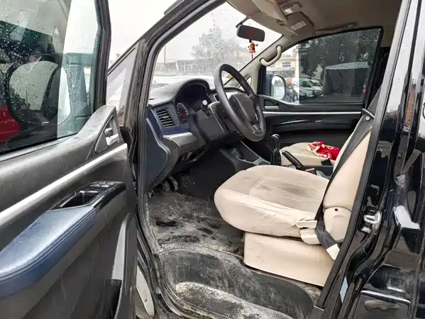 Dongfeng Lingzhi 2022