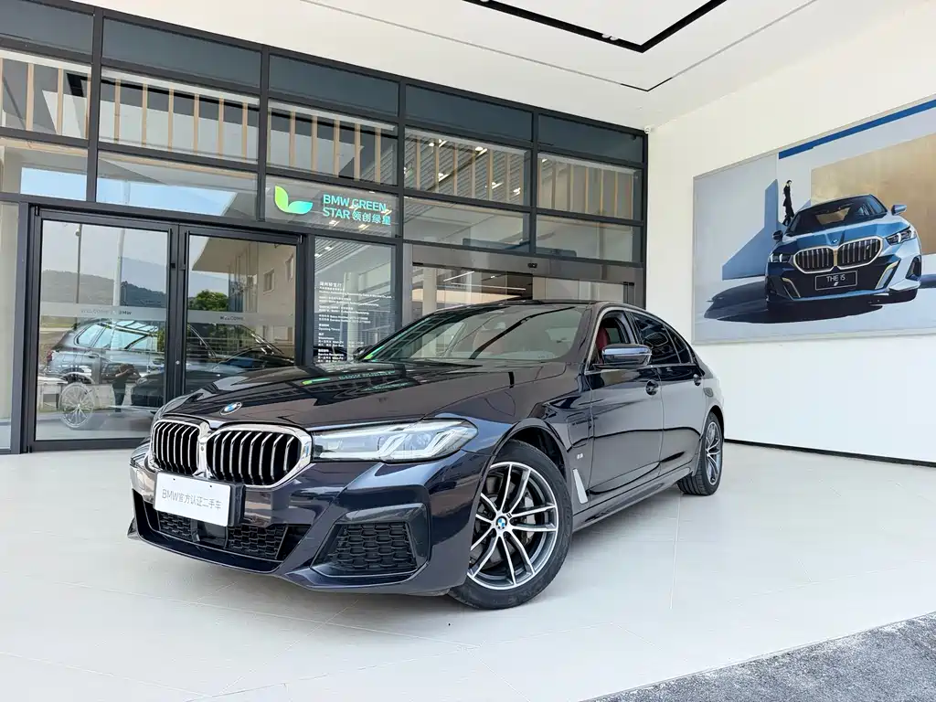BMW 5 Series New Energy 2021