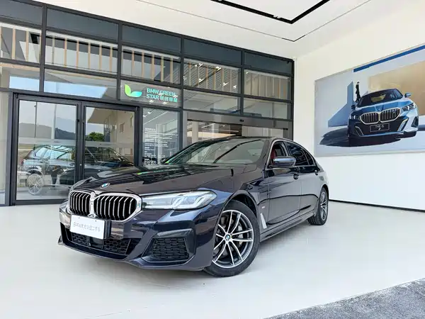 BMW 5 Series New Energy 2021