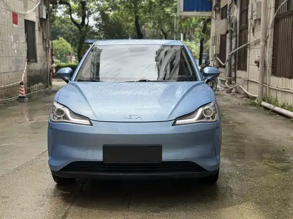 Neta V 2021