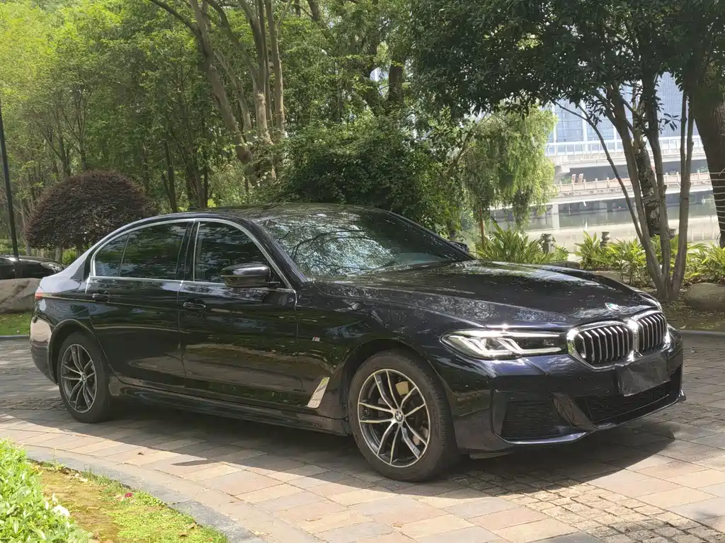 BMW 5 Series 2021