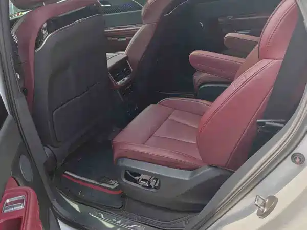 Hongqi E-HS9 2021