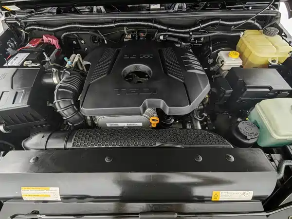 BAIC BJ40 2019