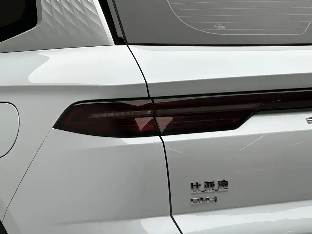 BYD Pro New Energy 2024 — фото 6
