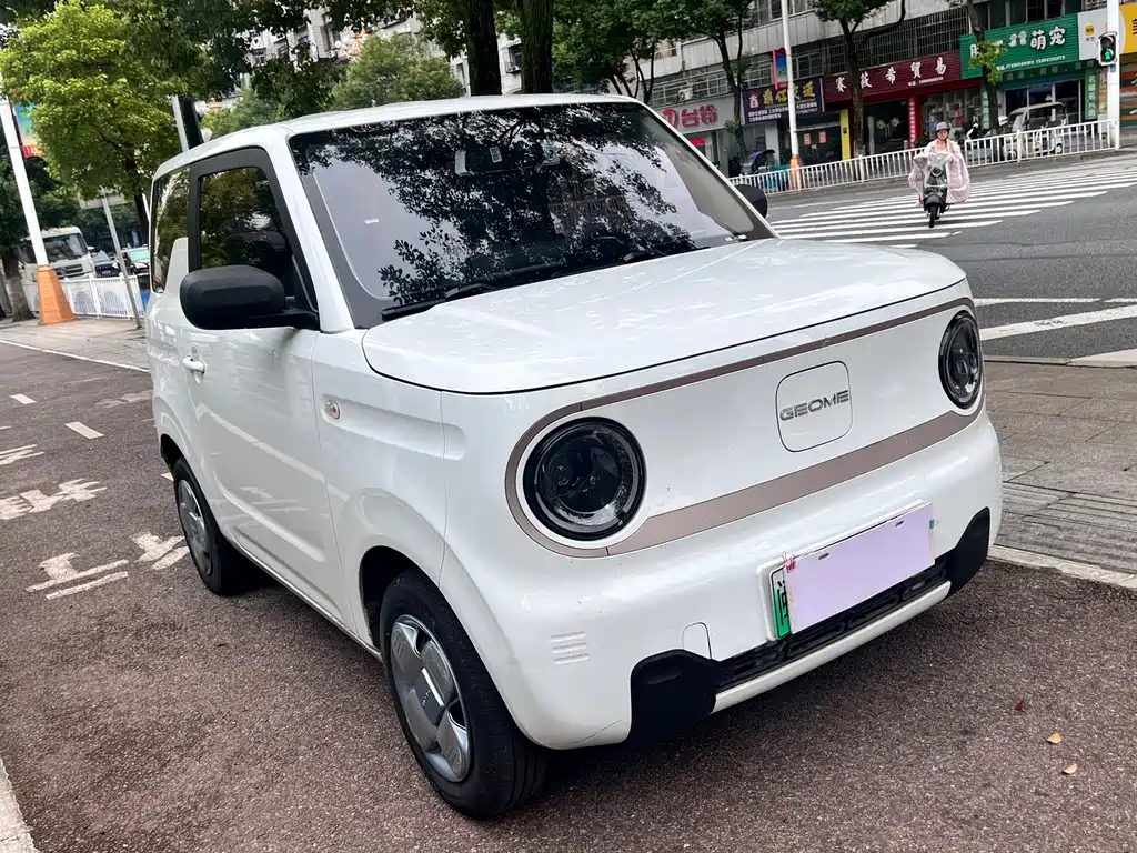Geely Galaxy Panda 2023 — фото 3