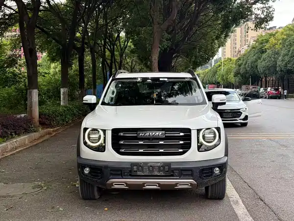 Haval Dargo 2020