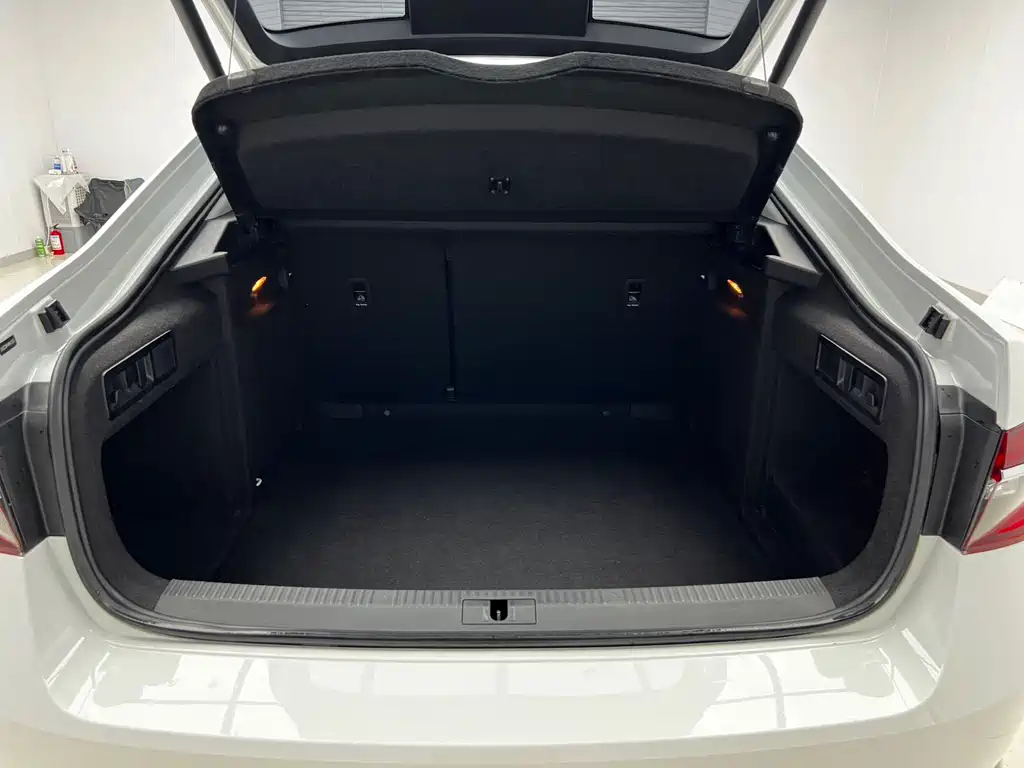 Skoda Speedy 2024 — фото 17