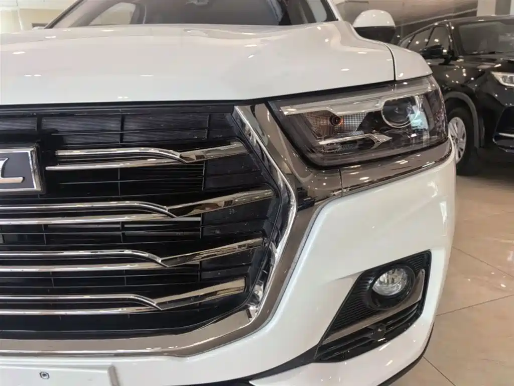 Haval H6 2022 — фото 24