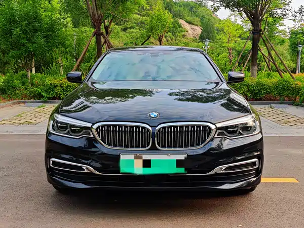 BMW 5 Series New Energy 2020
