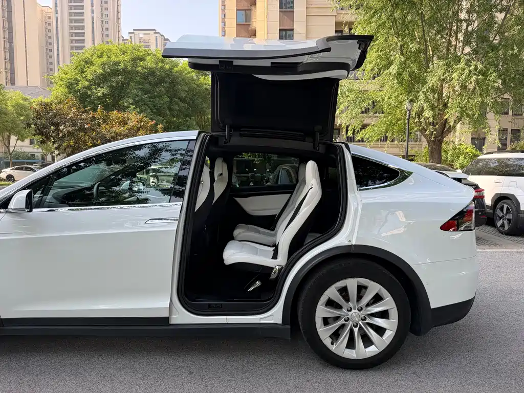 Tesla Model X 2017 — фото 9