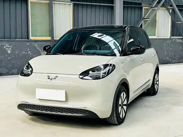 Wuling Bingo 2024