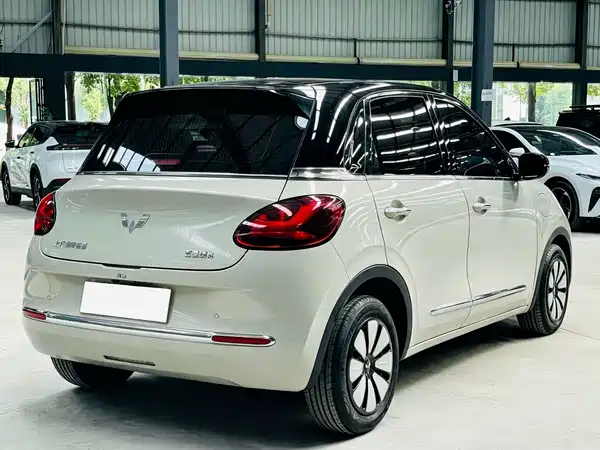 Wuling Bingo 2024